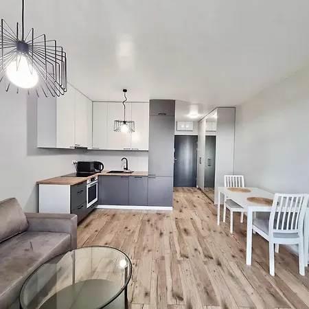 公寓 Kriviu Street Residential *
